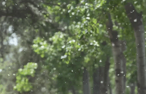 2024052083970418.gif 2024052083970418.gif